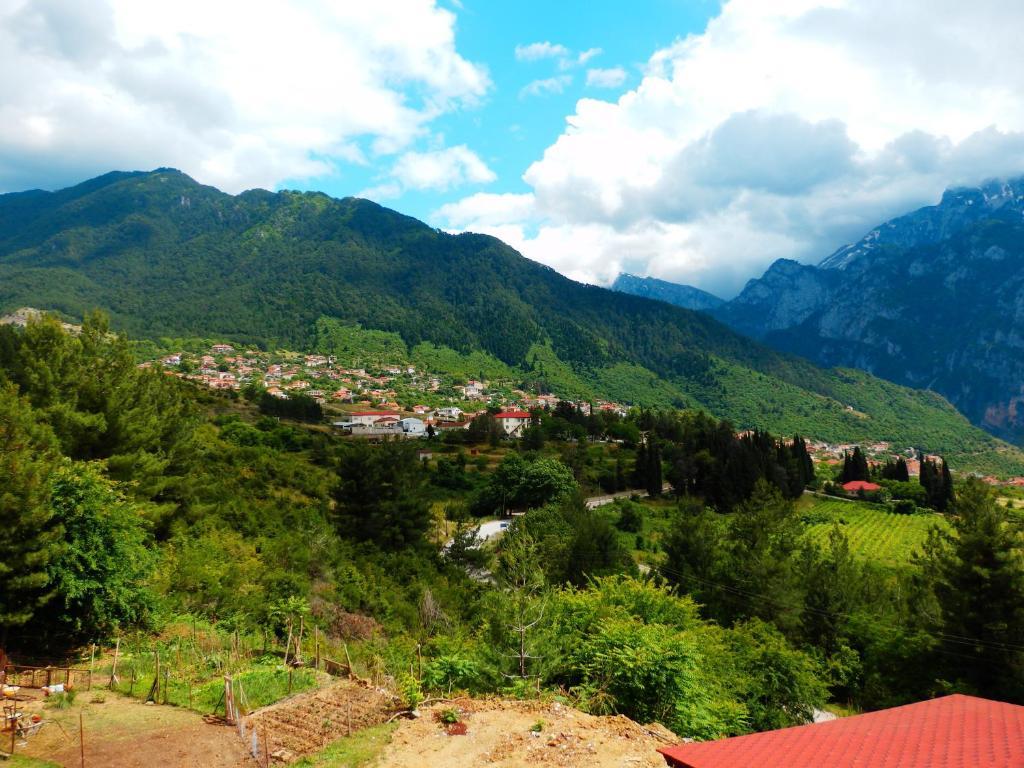 Hotel Konitsa Panorama Extérieur photo