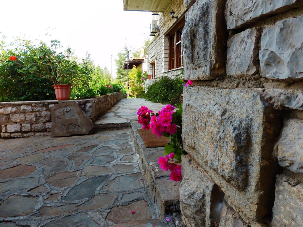 Hotel Konitsa Panorama Extérieur photo
